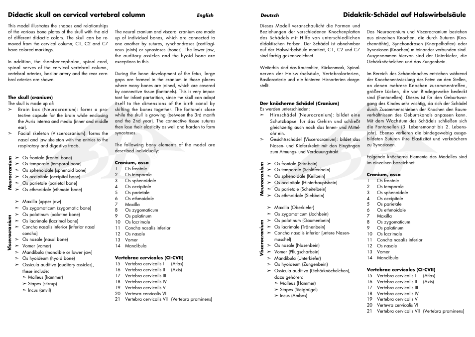 3B Scientific A20/2 User Manual | Page 2 / 5