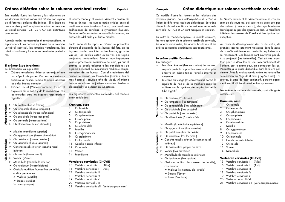 3B Scientific A20/2 User Manual | Page 3 / 5