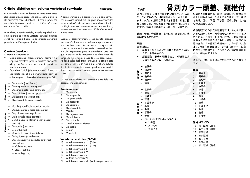 3B Scientific A20/2 User Manual | Page 4 / 5