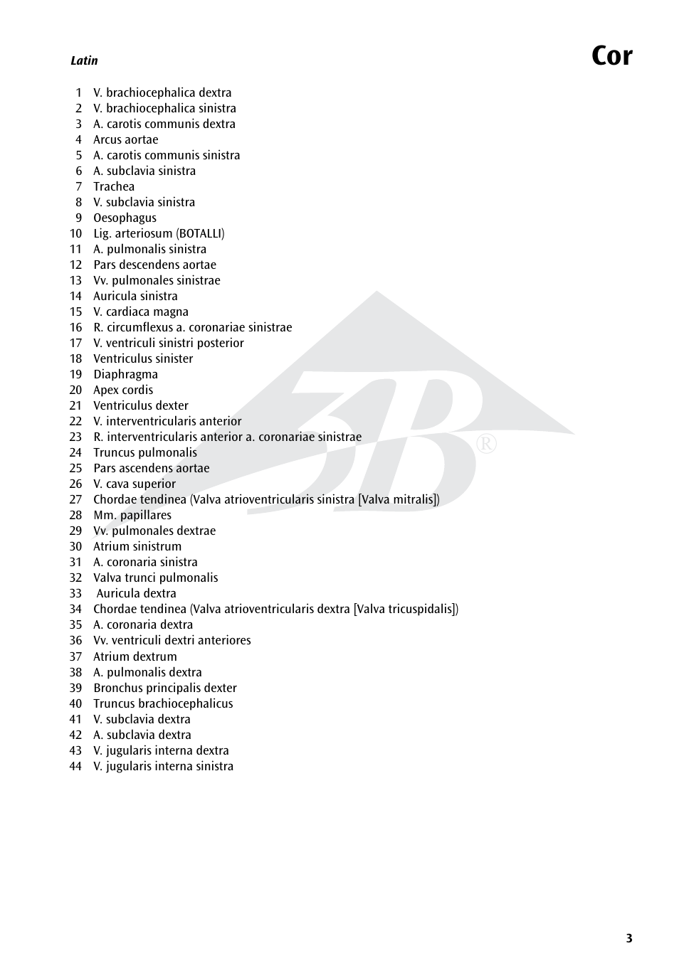 3B Scientific Heart on Diaphragm, 3 times life size, 10 part User Manual | Page 3 / 20