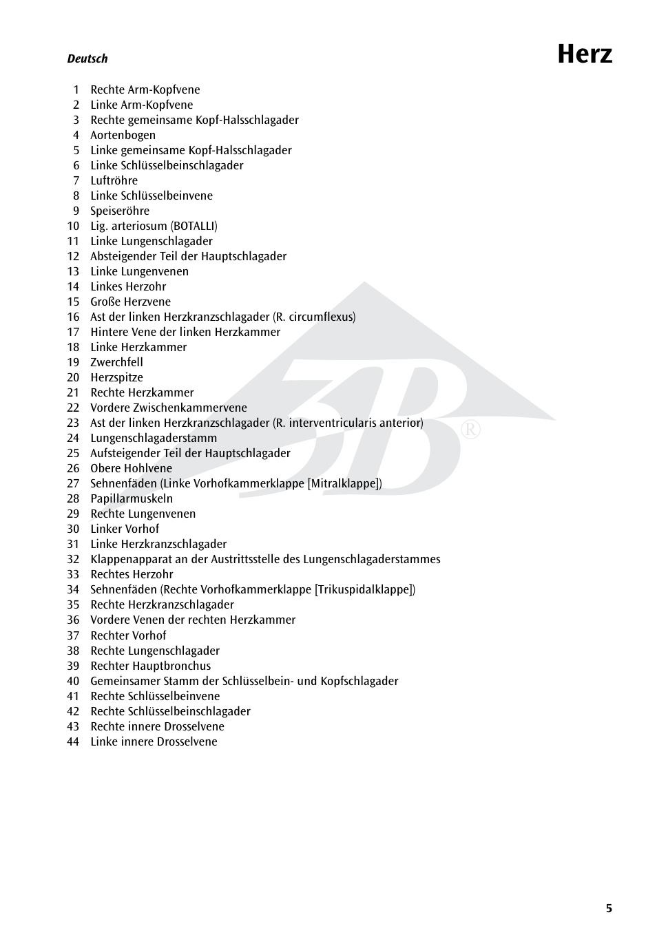 Herz | 3B Scientific Heart on Diaphragm, 3 times life size, 10 part User Manual | Page 5 / 20