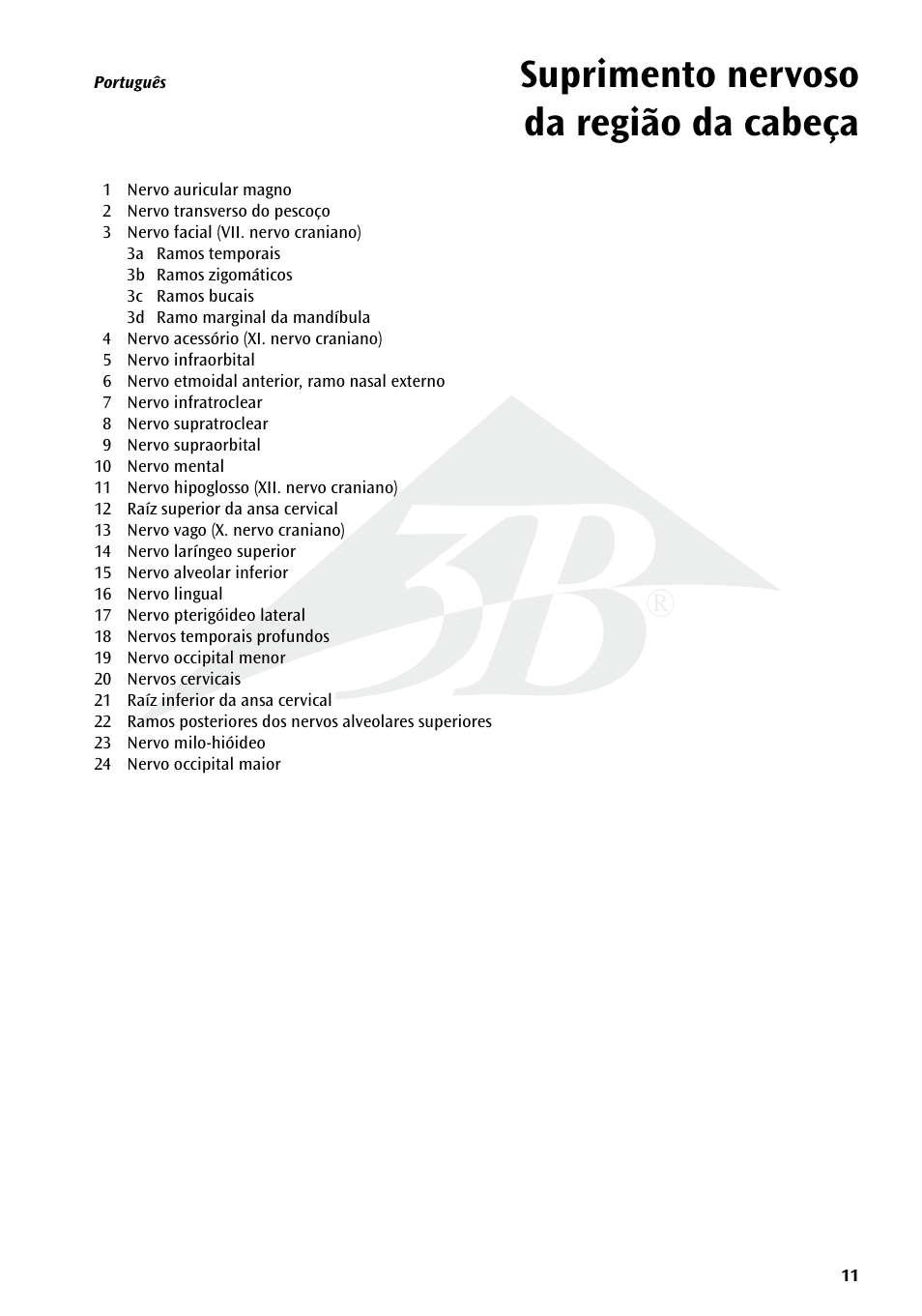 Suprimento nervoso da região da cabeça | 3B Scientific Head Musculature additionally with Nerves User Manual | Page 11 / 20