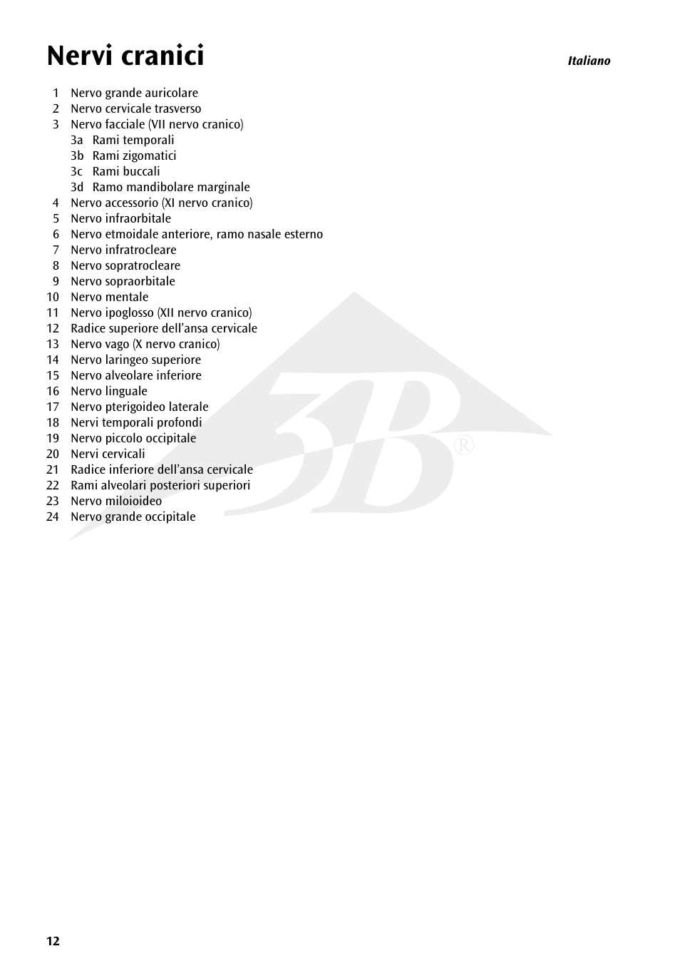 Nervi cranici | 3B Scientific Head Musculature additionally with Nerves User Manual | Page 12 / 20