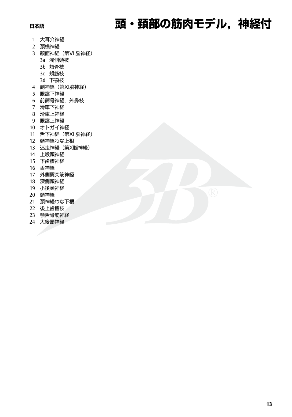 頭・頚部の筋肉モデル，神経付 | 3B Scientific Head Musculature additionally with Nerves User Manual | Page 13 / 20