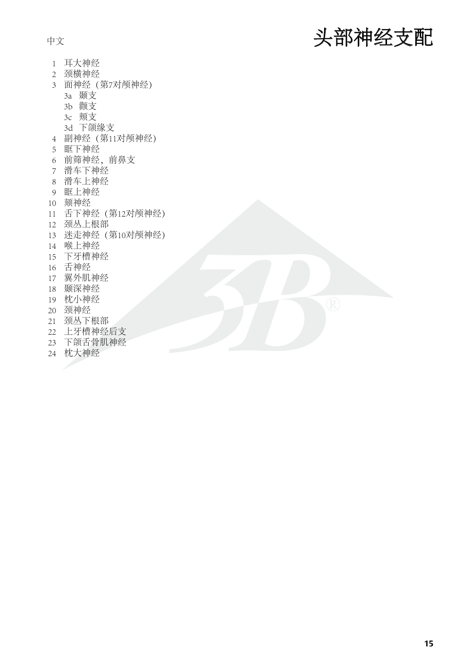 头部神经支配 | 3B Scientific Head Musculature additionally with Nerves User Manual | Page 15 / 20