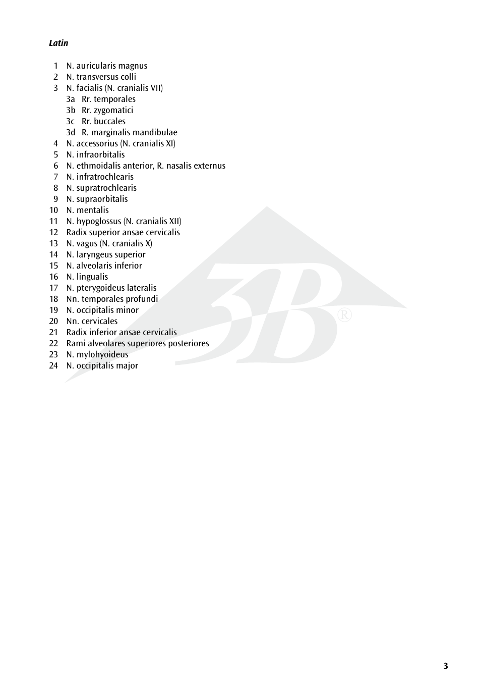 3B Scientific Head Musculature additionally with Nerves User Manual | Page 3 / 20