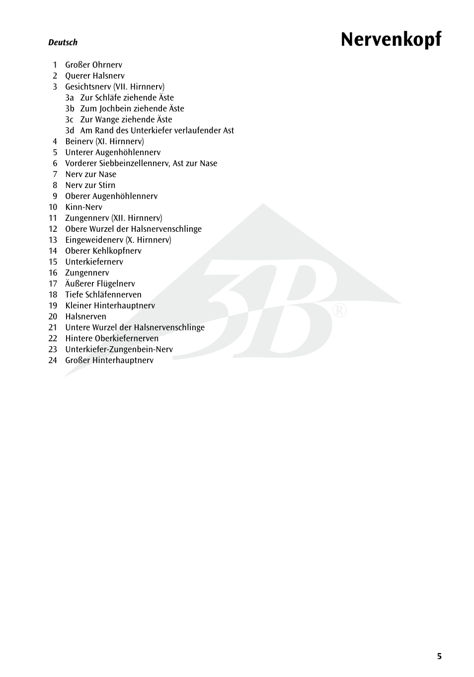 Nervenkopf | 3B Scientific Head Musculature additionally with Nerves User Manual | Page 5 / 20