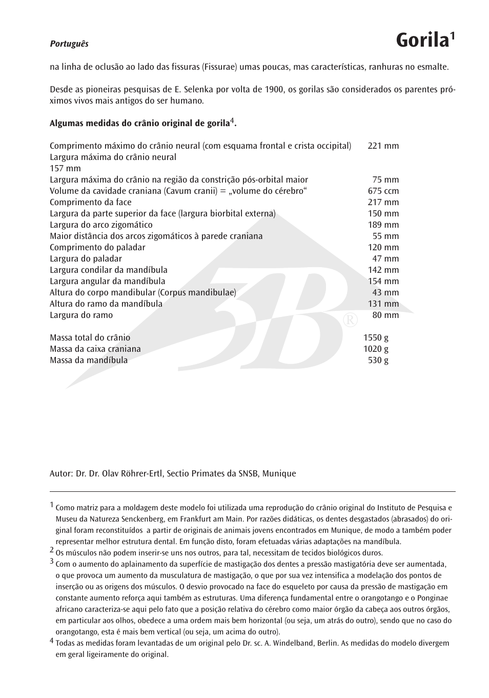 Gorila | 3B Scientific Gorilla Skull (Gorilla gorilla), male User Manual | Page 11 / 20