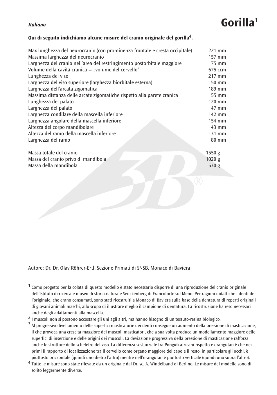 Gorilla | 3B Scientific Gorilla Skull (Gorilla gorilla), male User Manual | Page 13 / 20