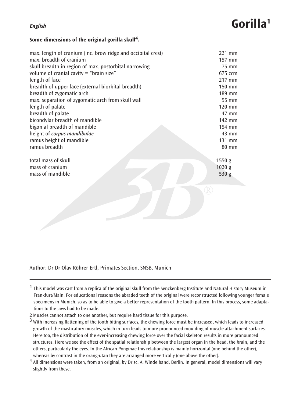 Gorilla | 3B Scientific Gorilla Skull (Gorilla gorilla), male User Manual | Page 3 / 20