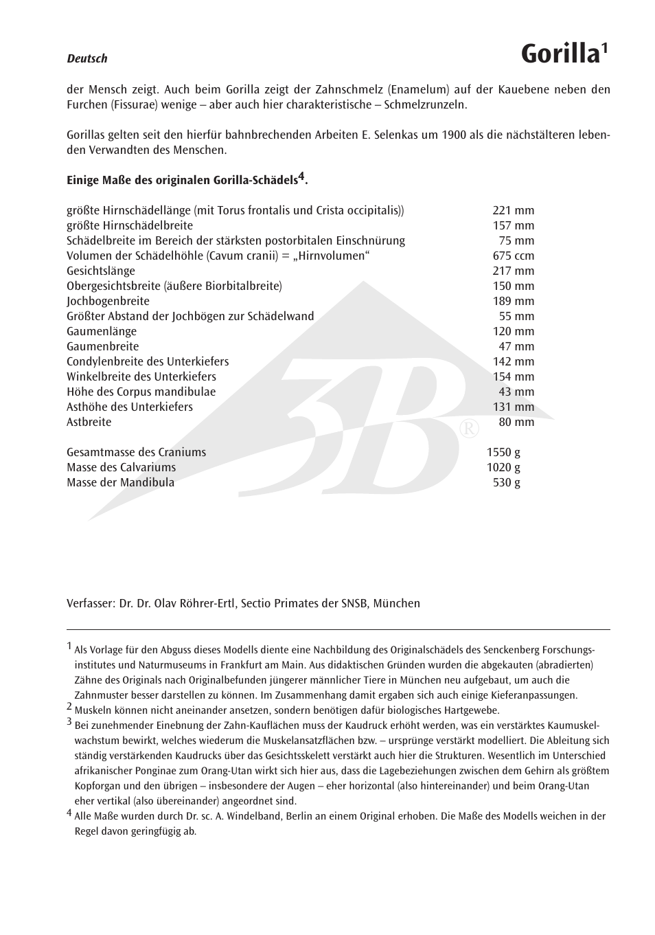 Gorilla | 3B Scientific Gorilla Skull (Gorilla gorilla), male User Manual | Page 5 / 20