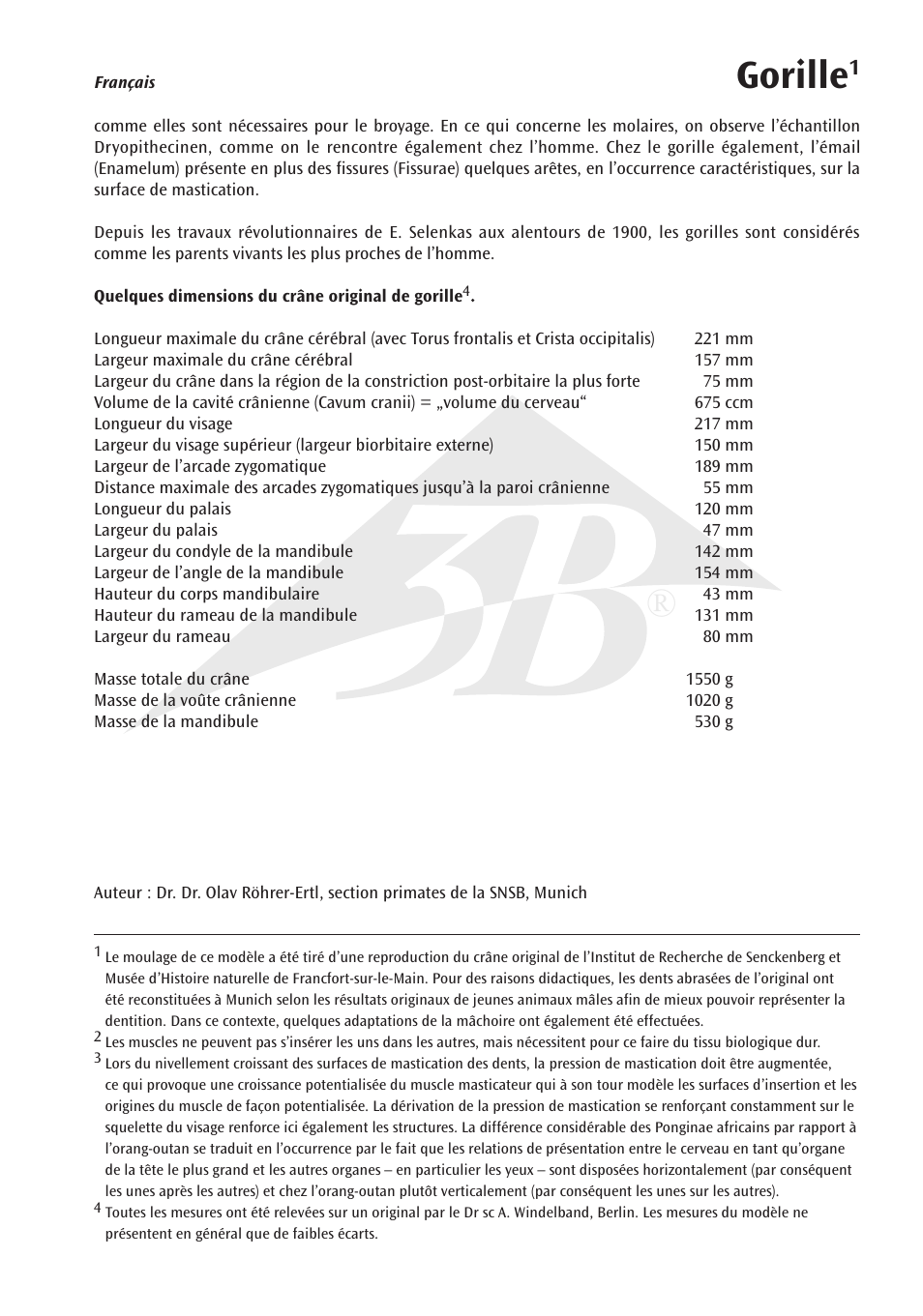 Gorille | 3B Scientific Gorilla Skull (Gorilla gorilla), male User Manual | Page 9 / 20