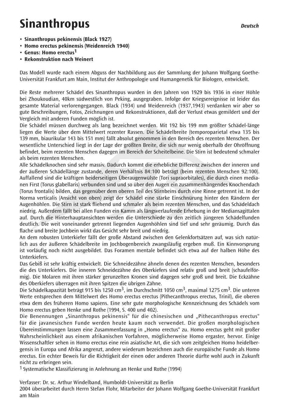 Sinanthropus | 3B Scientific Anthropological Skull Model - Sinanthropus User Manual | Page 4 / 12