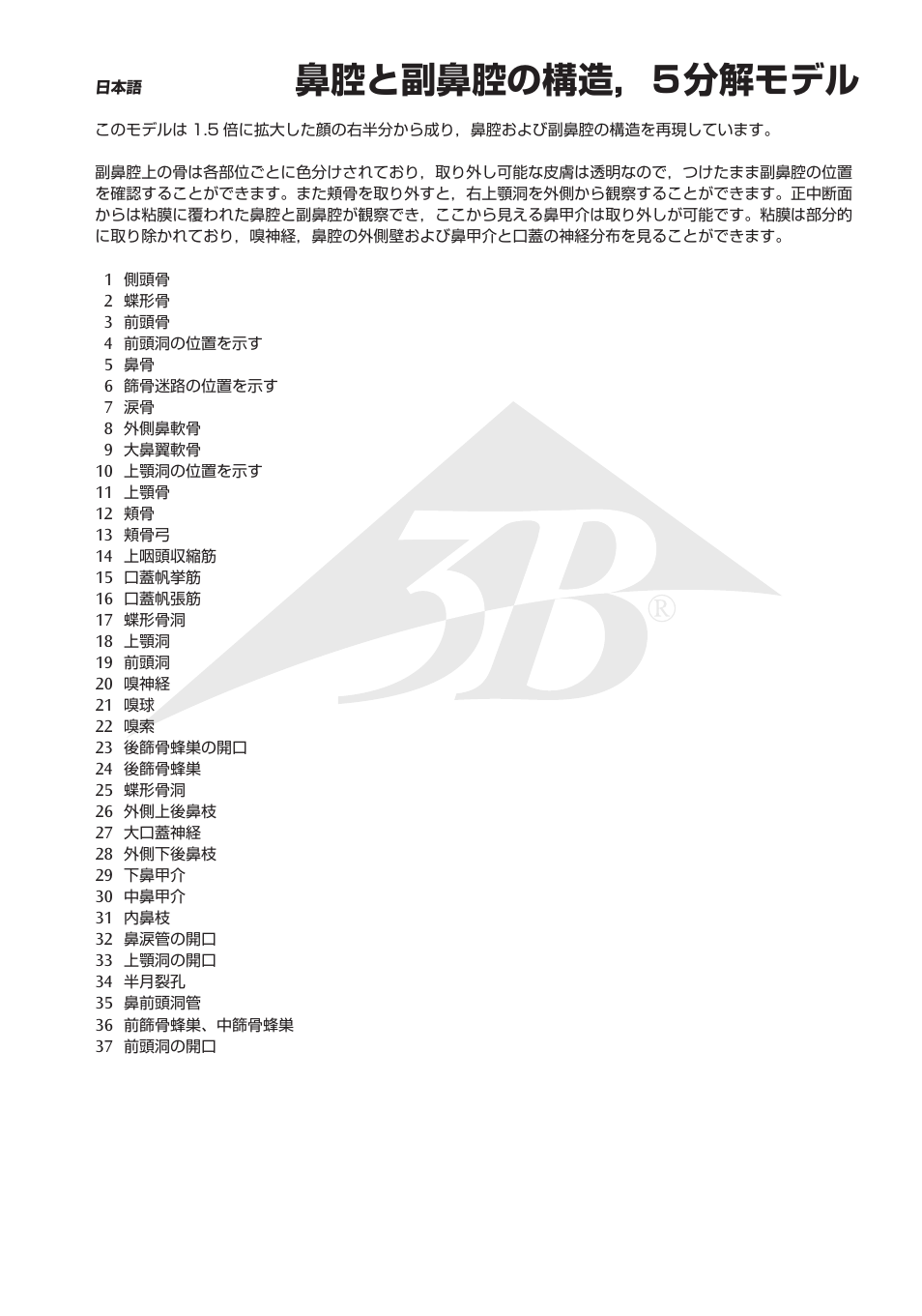 鼻腔と副鼻腔の構造，５分解モデル | 3B Scientific Nose Model with Paranasal Sinuses, 5 part User Manual | Page 11 / 12