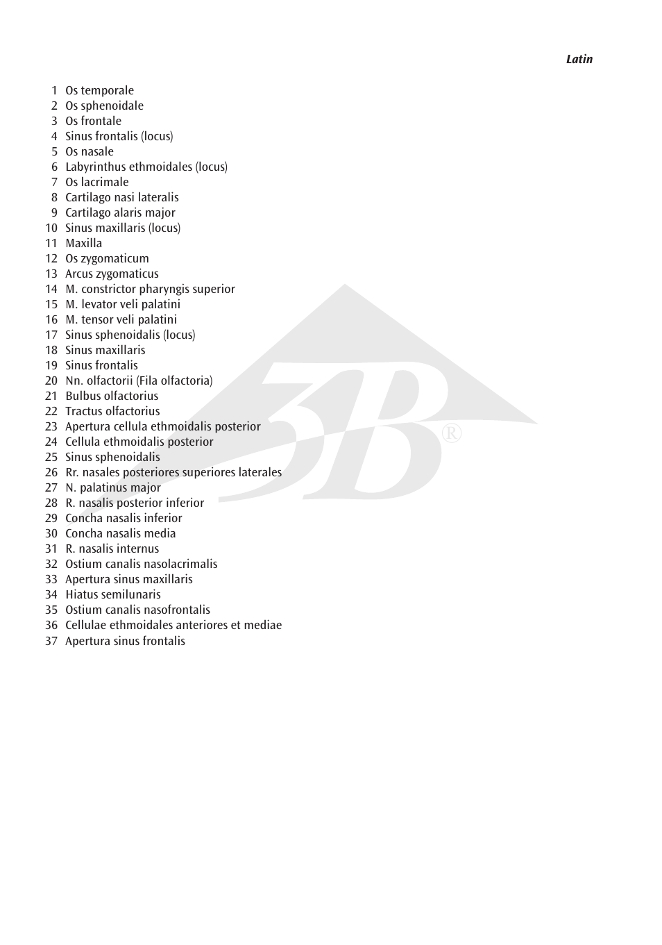 3B Scientific Nose Model with Paranasal Sinuses, 5 part User Manual | Page 2 / 12