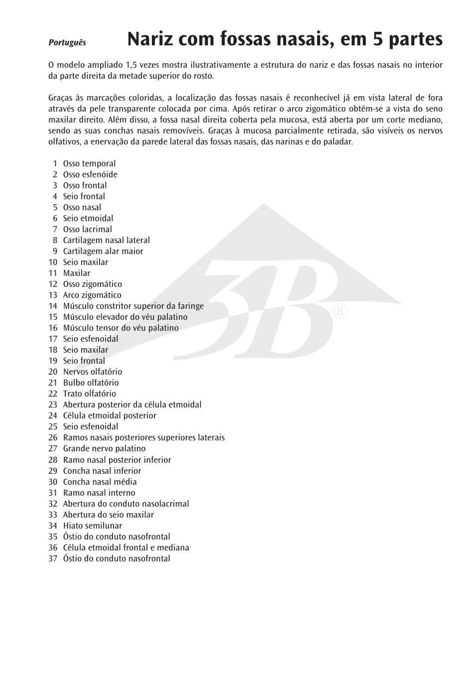 Name, Nariz com fossas nasais, em 5 partes | 3B Scientific Nose Model with Paranasal Sinuses, 5 part User Manual | Page 9 / 12