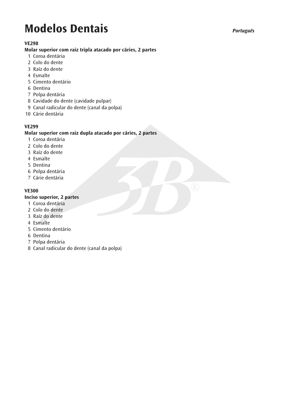 Modelos dentais | 3B Scientific Upper Incisor, 2 part User Manual | Page 10 / 16