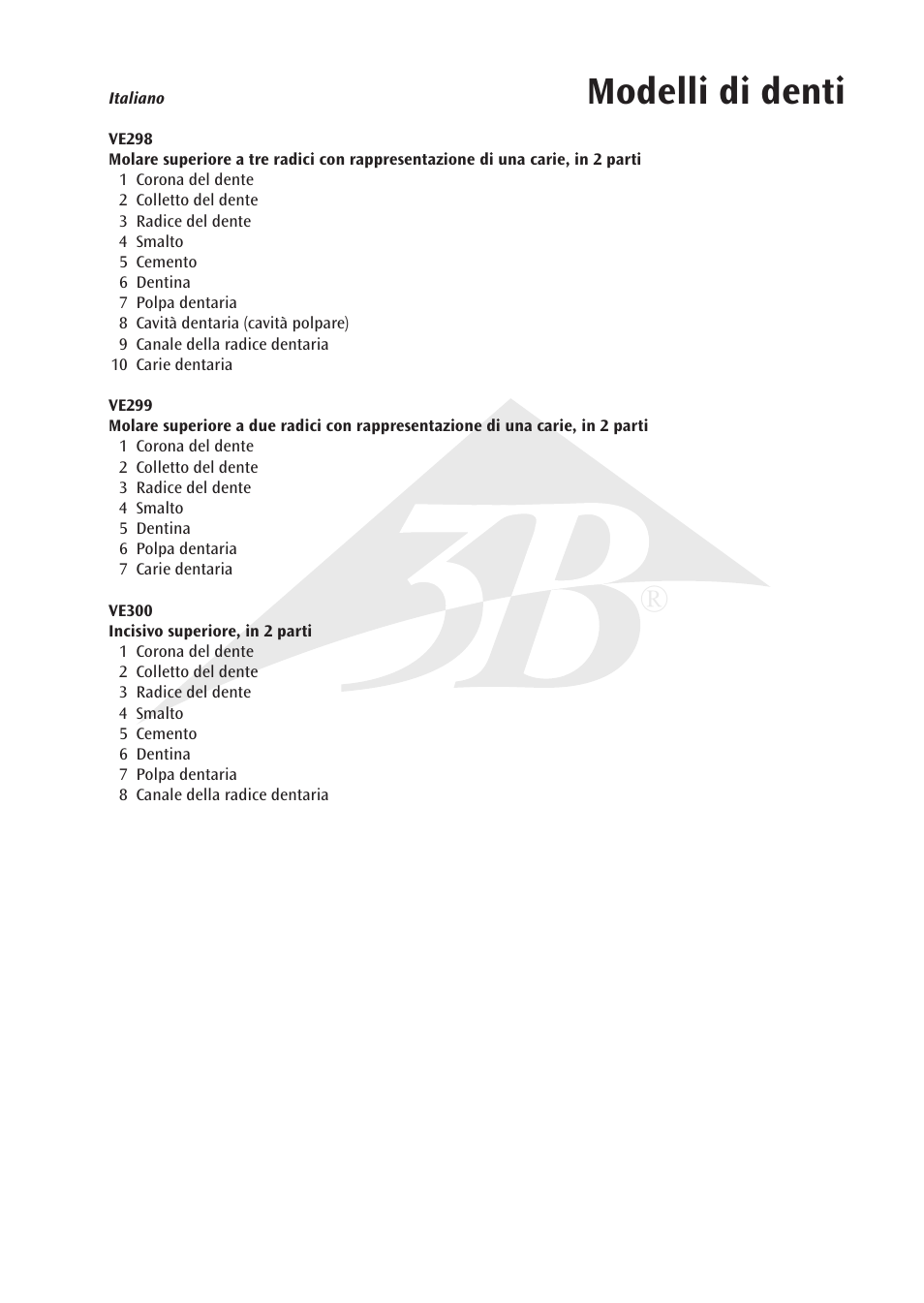 Modelli di denti | 3B Scientific Upper Incisor, 2 part User Manual | Page 11 / 16