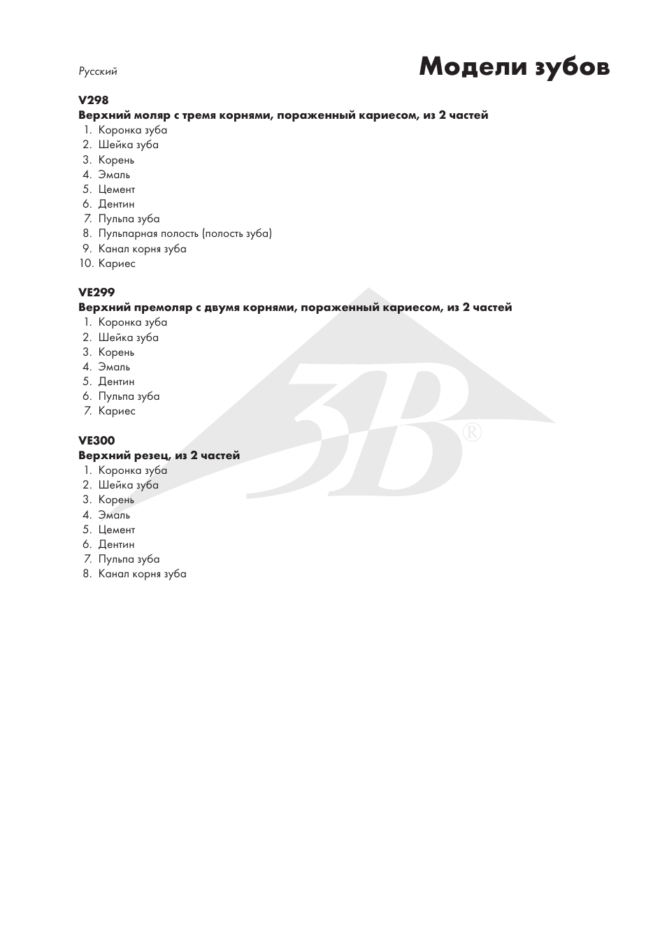 Модели зубов | 3B Scientific Upper Incisor, 2 part User Manual | Page 13 / 16