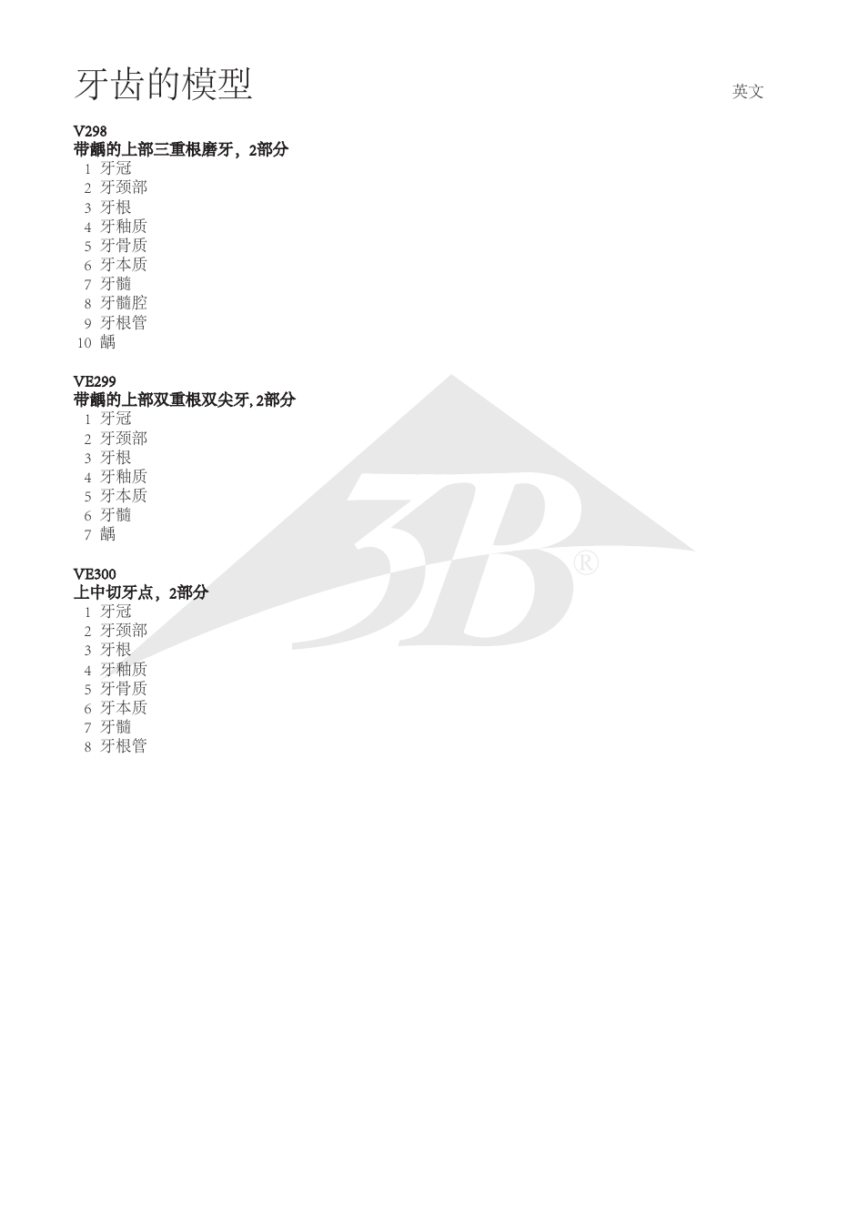 牙齿的模型 | 3B Scientific Upper Incisor, 2 part User Manual | Page 14 / 16