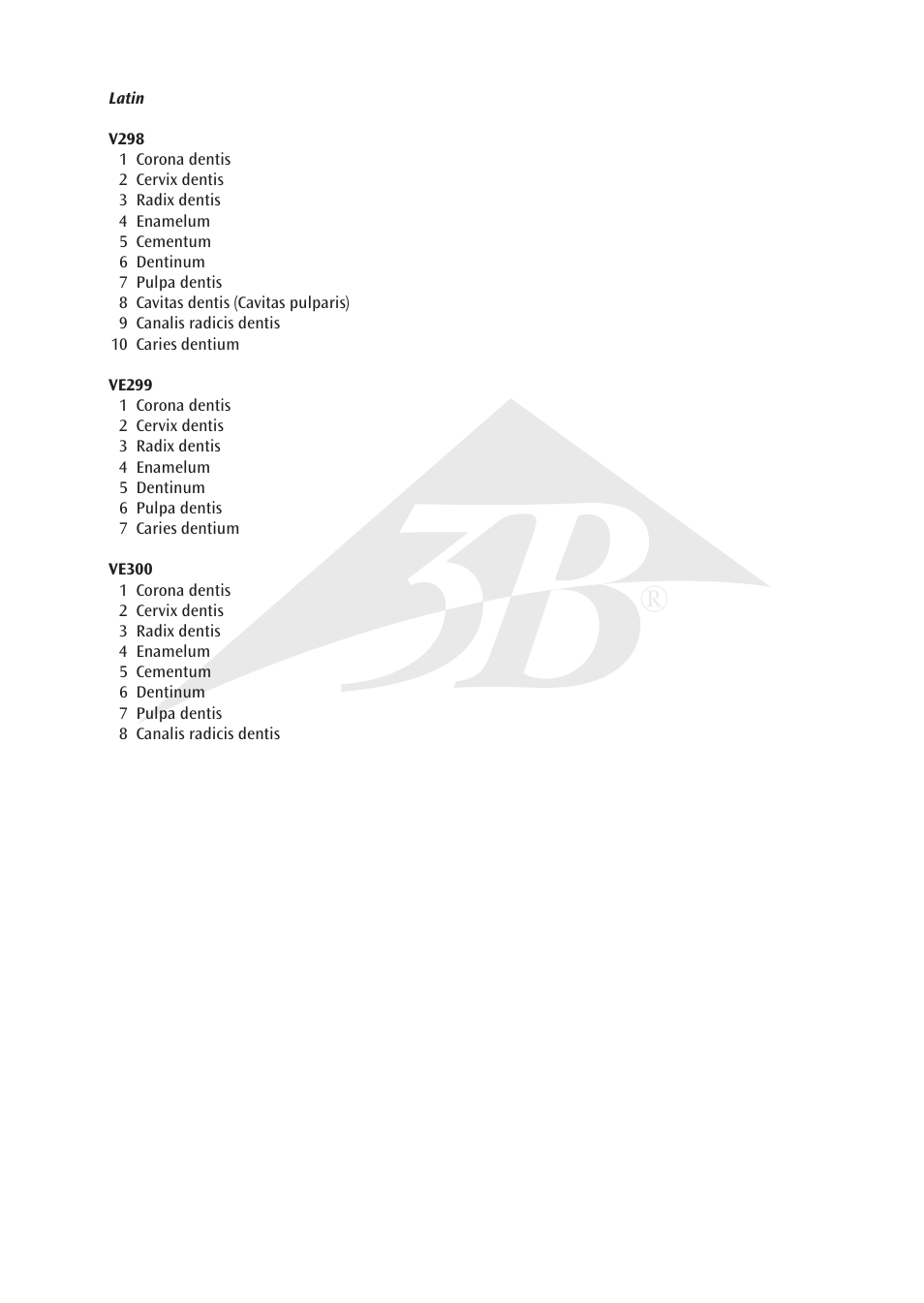 3B Scientific Upper Incisor, 2 part User Manual | Page 3 / 16
