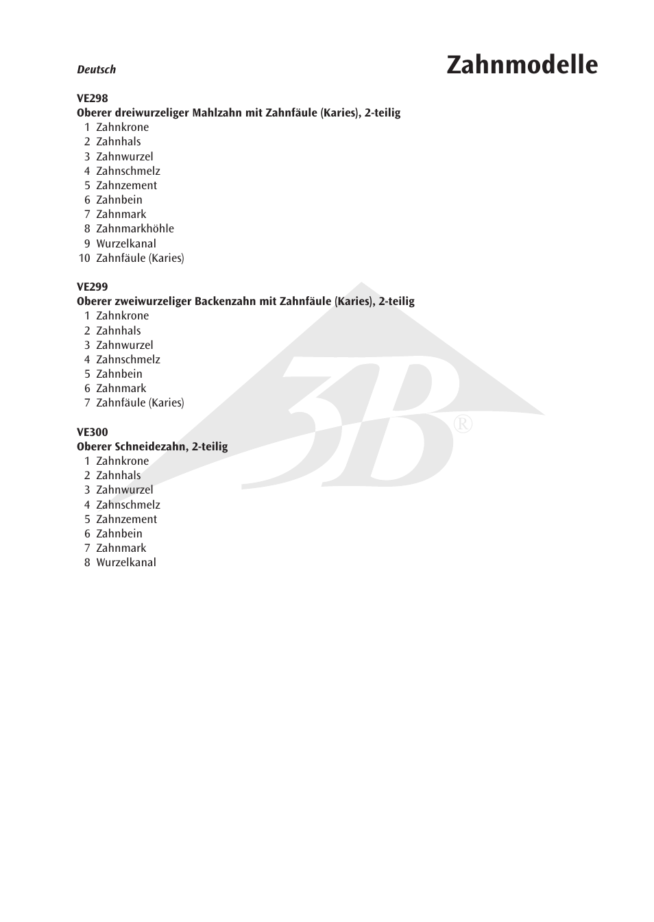 Zahnmodelle | 3B Scientific Upper Incisor, 2 part User Manual | Page 5 / 16