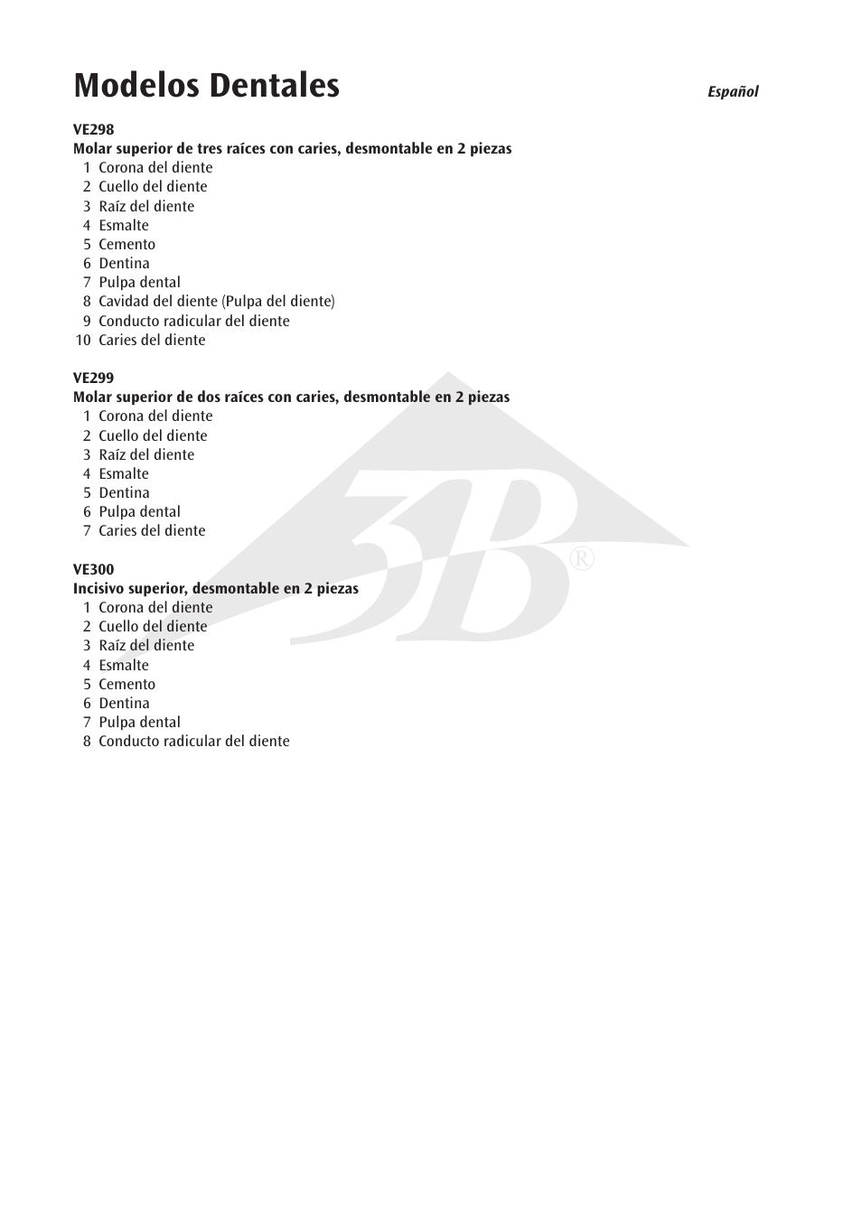 Modelos dentales | 3B Scientific Upper Incisor, 2 part User Manual | Page 6 / 16