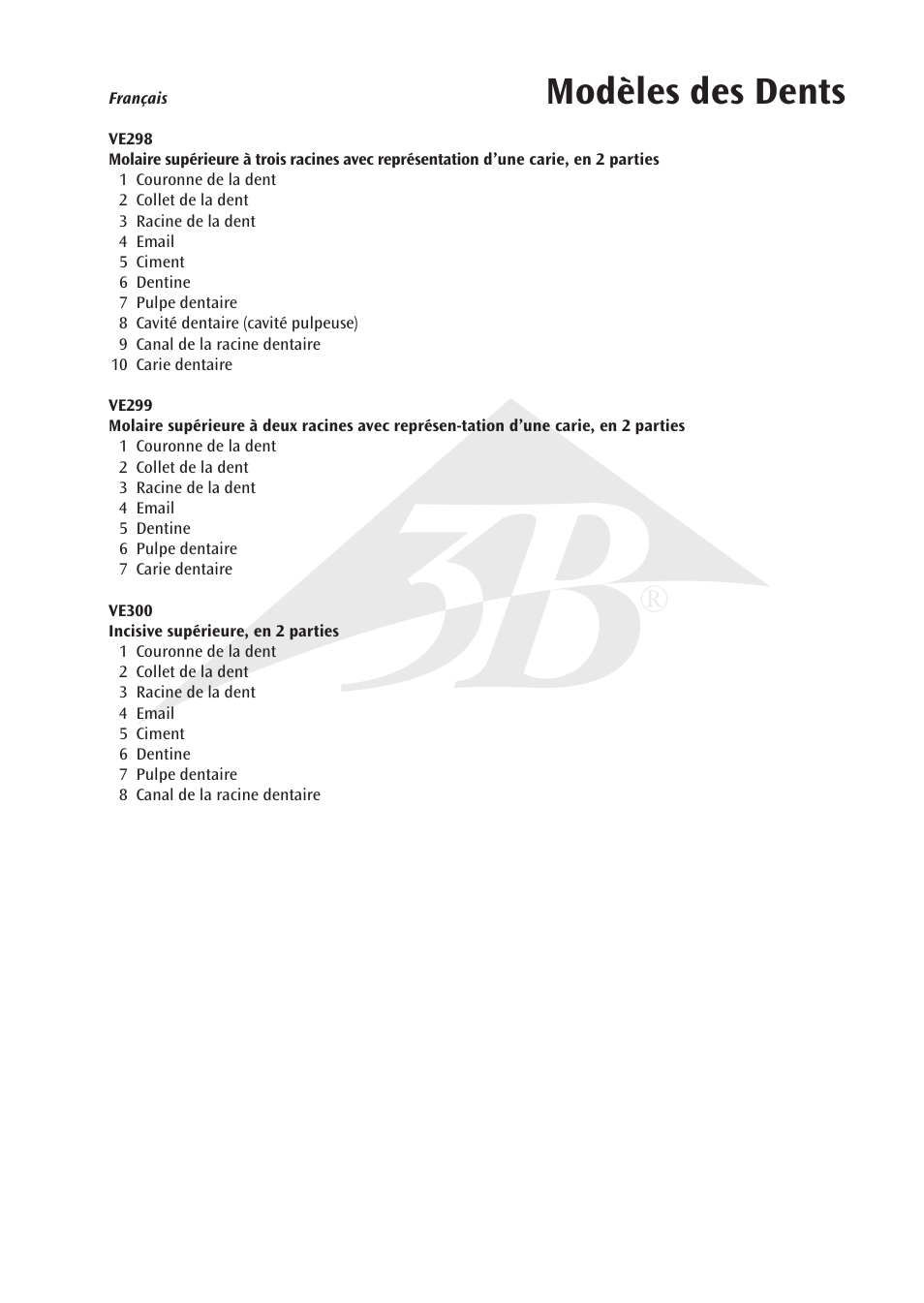 Modèles des dents | 3B Scientific Upper Incisor, 2 part User Manual | Page 7 / 16