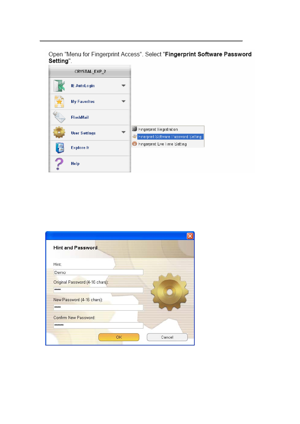 Fingerprint software password setting | ADATA Nobility FP2 User Manual | Page 38 / 45