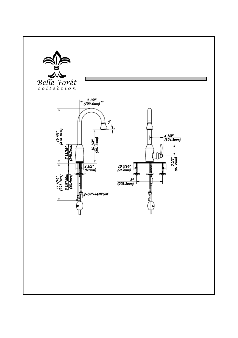 Single handle kitchen faucet | Factory Direct Hardware Belle Foret N16001 User Manual | Page 2 / 4