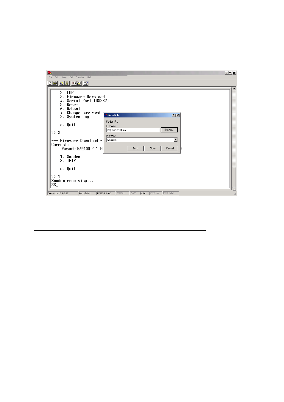 4 serial port | SENA Parani-MSP100 User Manual | Page 16 / 73