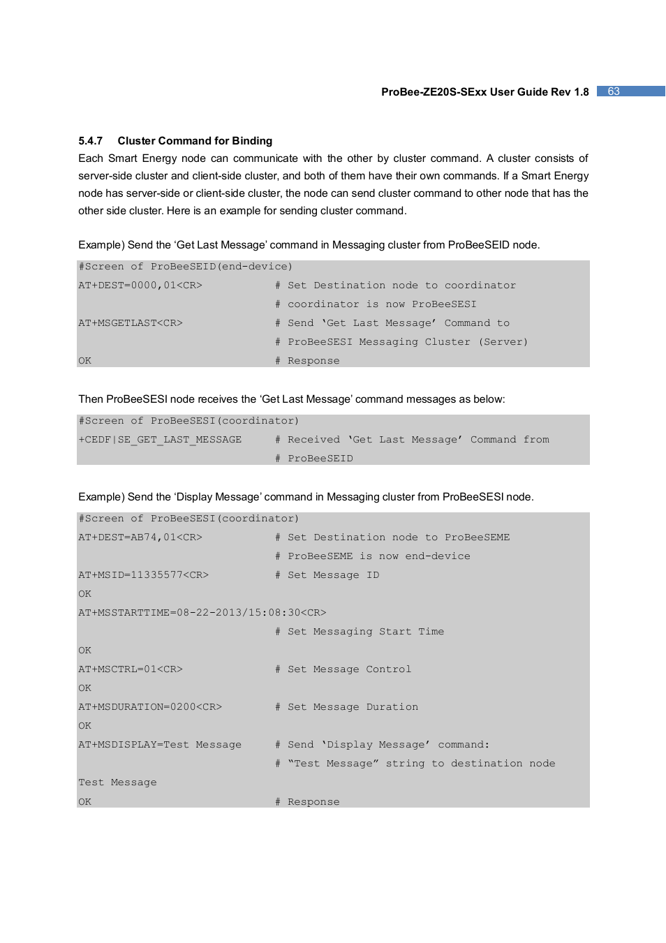 SENA ProBee-ZE20S-SEME User Manual | Page 63 / 118