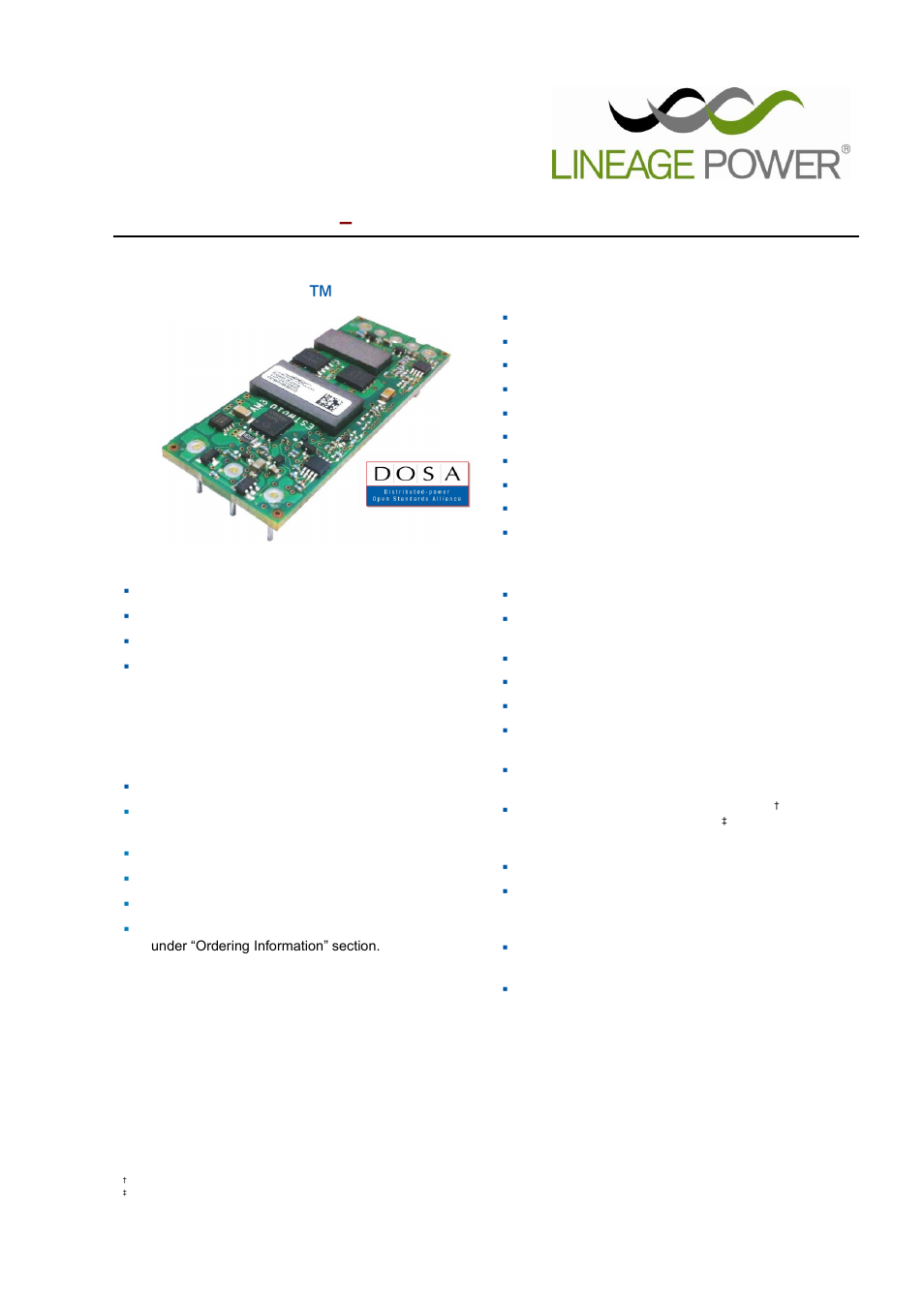 GE Industrial Solutions ESTW010A0A Series User Manual | 19 pages