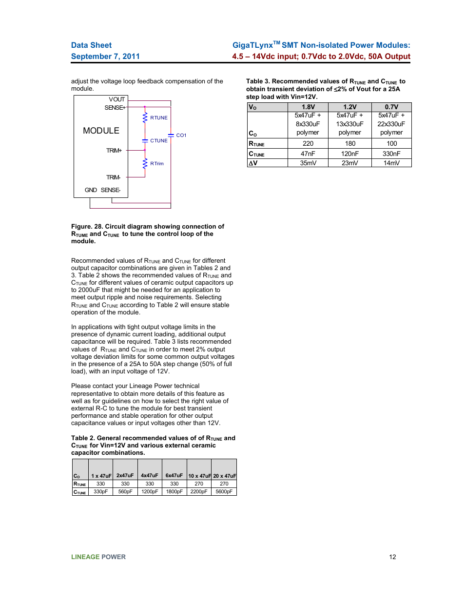 Module, Gigatlynx | GE Industrial Solutions GigaTLynx User Manual | Page 12 / 21