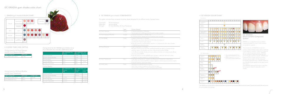 Gc gradia gum shades color chart, Gc gradia micro-ceramic composite system, Gradia gum shades color chart | Curing times and depths, Curing depths | GC EUROPE GRADIA gum shades User Manual | Page 2 / 14