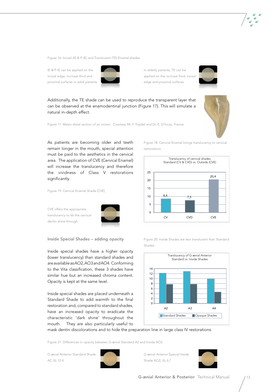 GC EUROPE G-aenial User Manual | Page 13 / 36