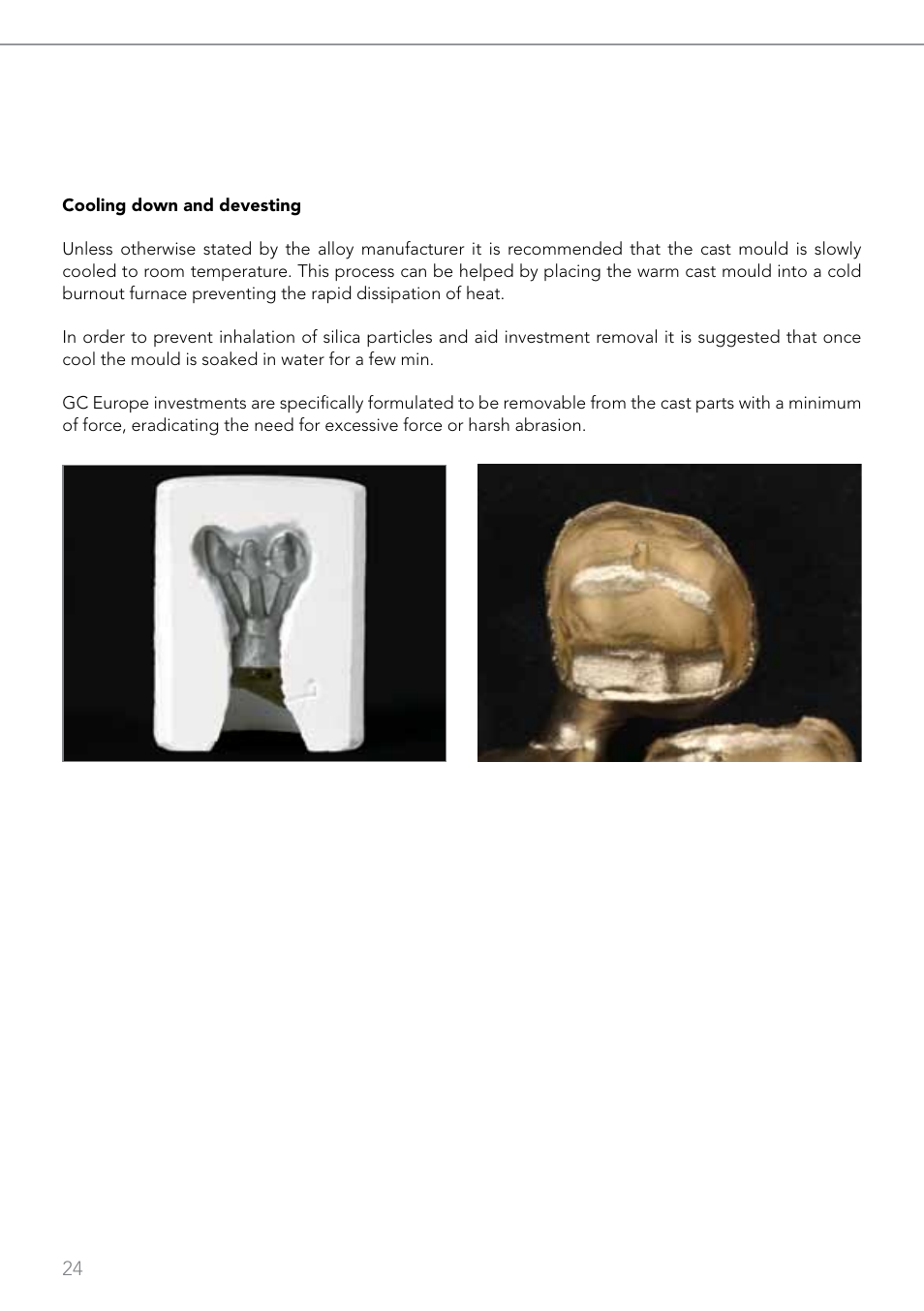GC EUROPE Fujivest Super User Manual | Page 24 / 68