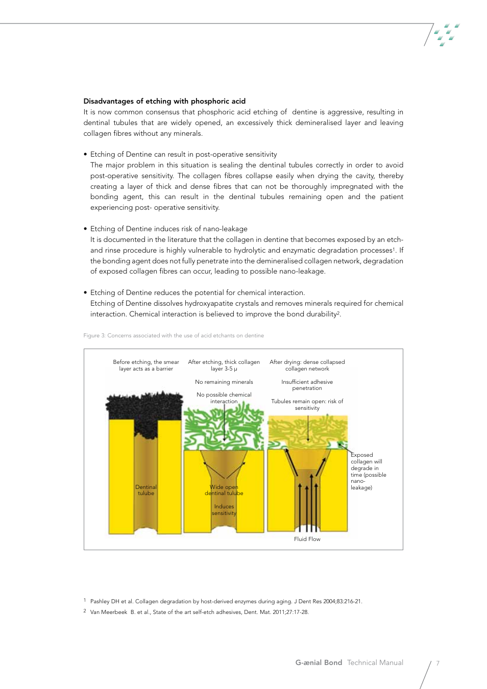GC EUROPE G-aenial Bond User Manual | Page 7 / 48