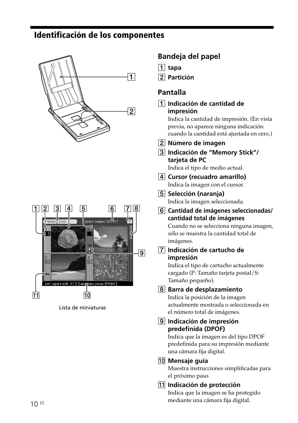 Identificación de los componentes | Sony DPP--SV77 User Manual | Page 198 / 283