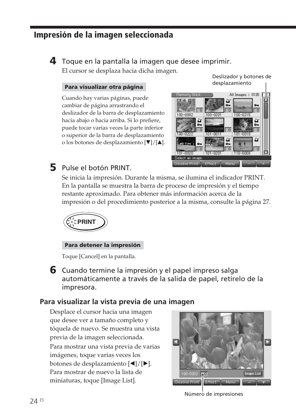 Impresión de la imagen seleccionada | Sony DPP-EX7 User Manual | Page 220 / 296