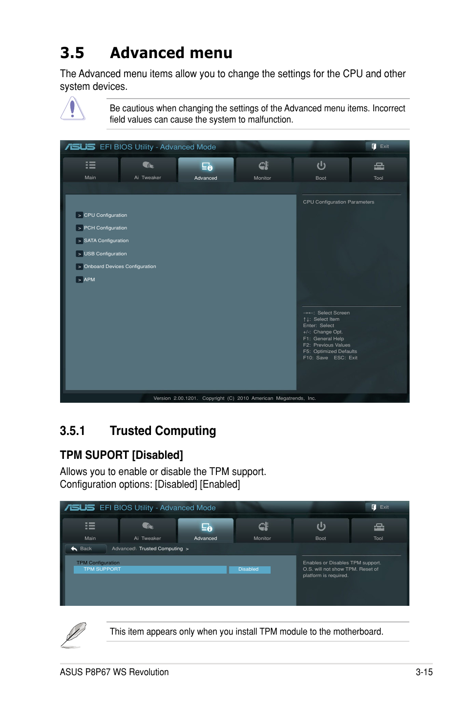 5 advanced menu, 1 trusted computing, Tpm suport [disabled | Asus P8P67 WS Revolution User Manual | Page 89 / 160