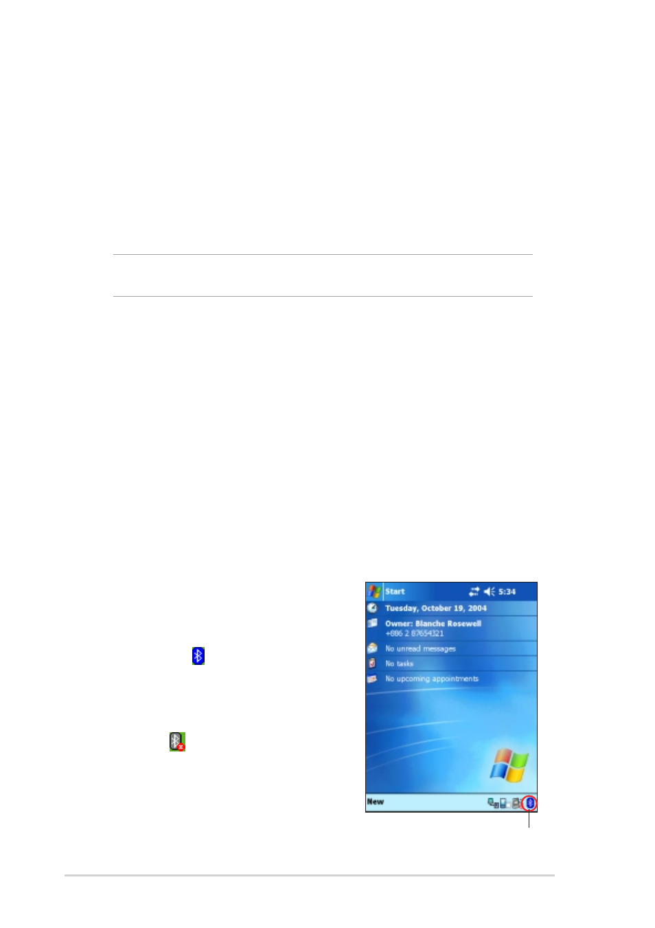 Introducing bluetooth, Bluetooth, For windows | Ce (btw-ce), Bluetooth icon | Asus MyPal A730W User Manual | Page 186 / 218
