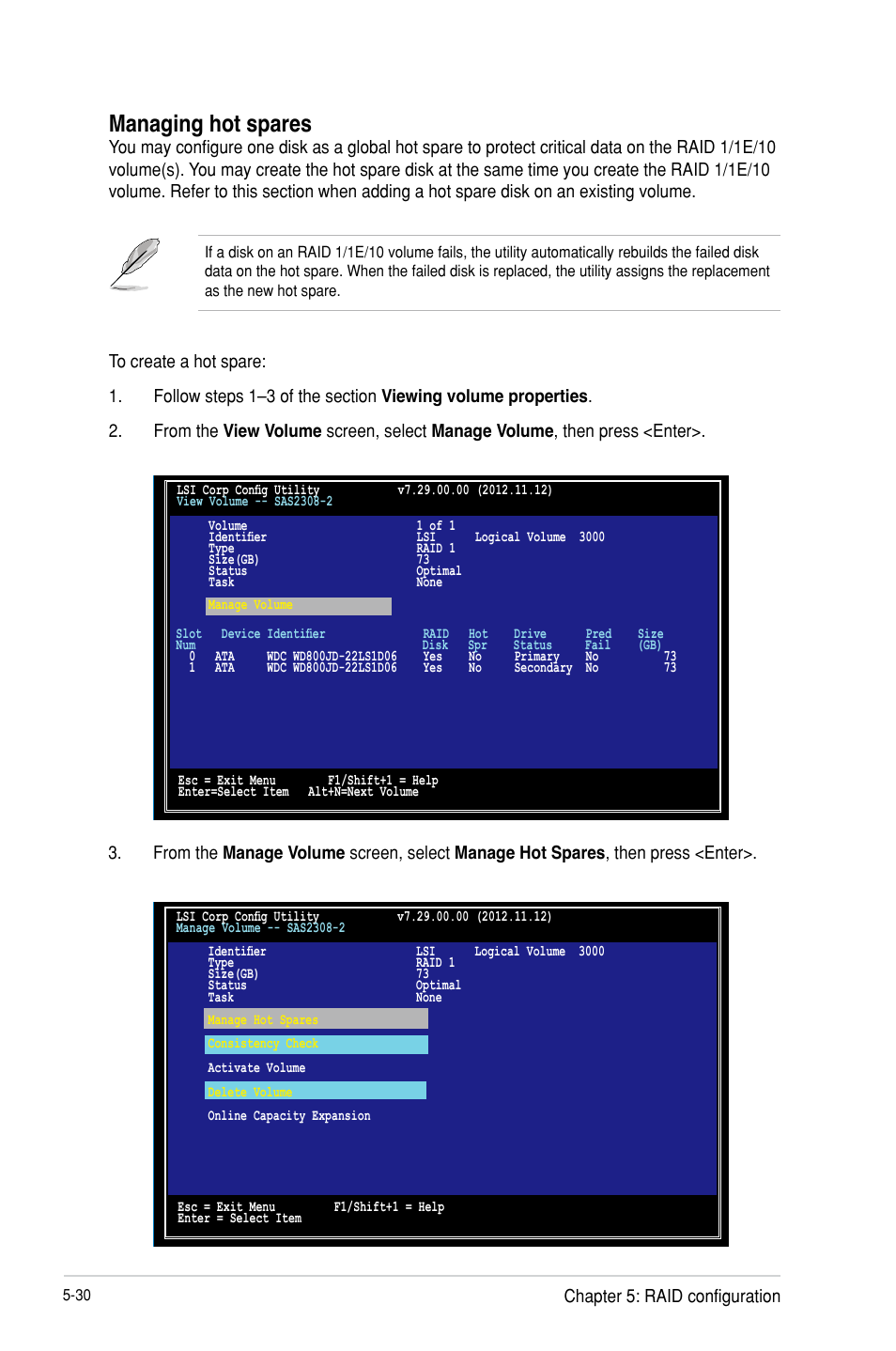 Managing hot spares | Asus P9D-MH/SAS/10G-DUAL User Manual | Page 134 / 192