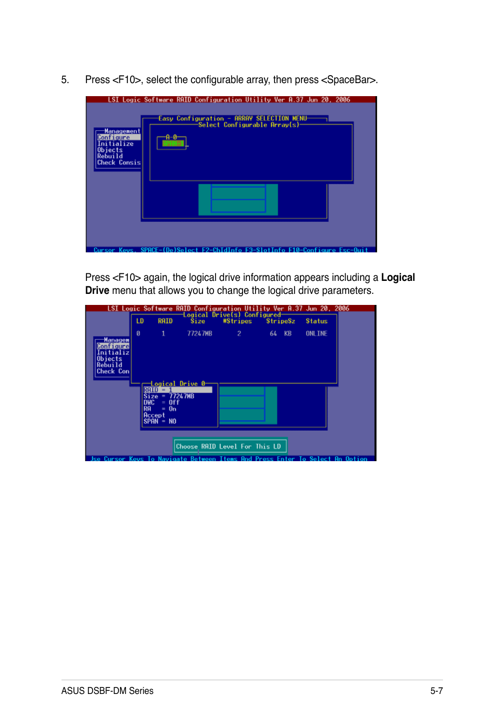 Asus DSBF-DM/SAS User Manual | Page 117 / 204