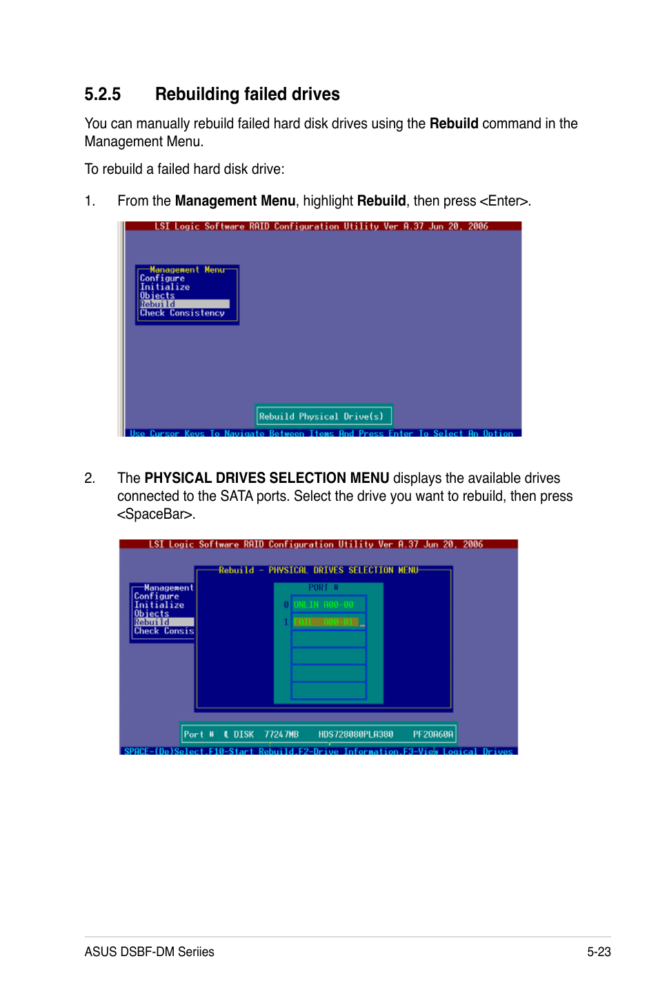 5 rebuilding failed drives | Asus DSBF-DM/SAS User Manual | Page 133 / 204