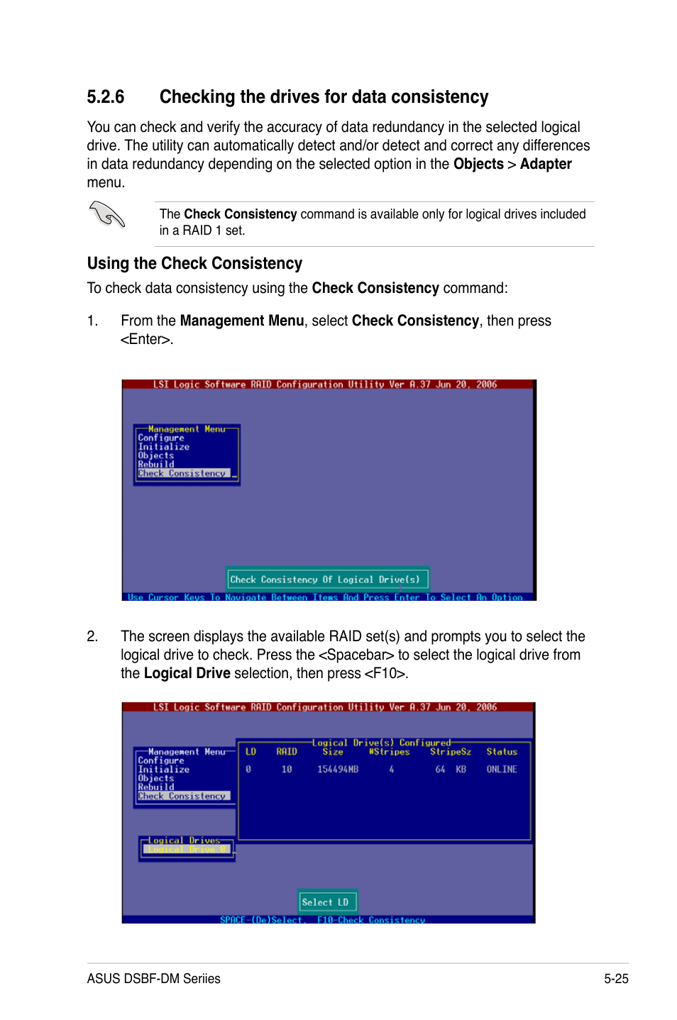 6 checking the drives for data consistency | Asus DSBF-DM/SAS User Manual | Page 135 / 204