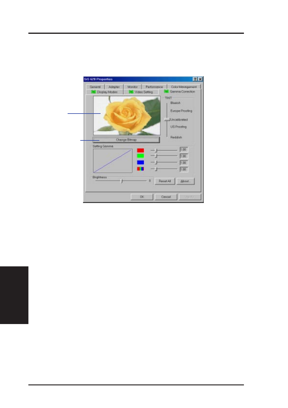 Software setup, Gamma correction page | Asus MES-VM User Manual | Page 66 / 88