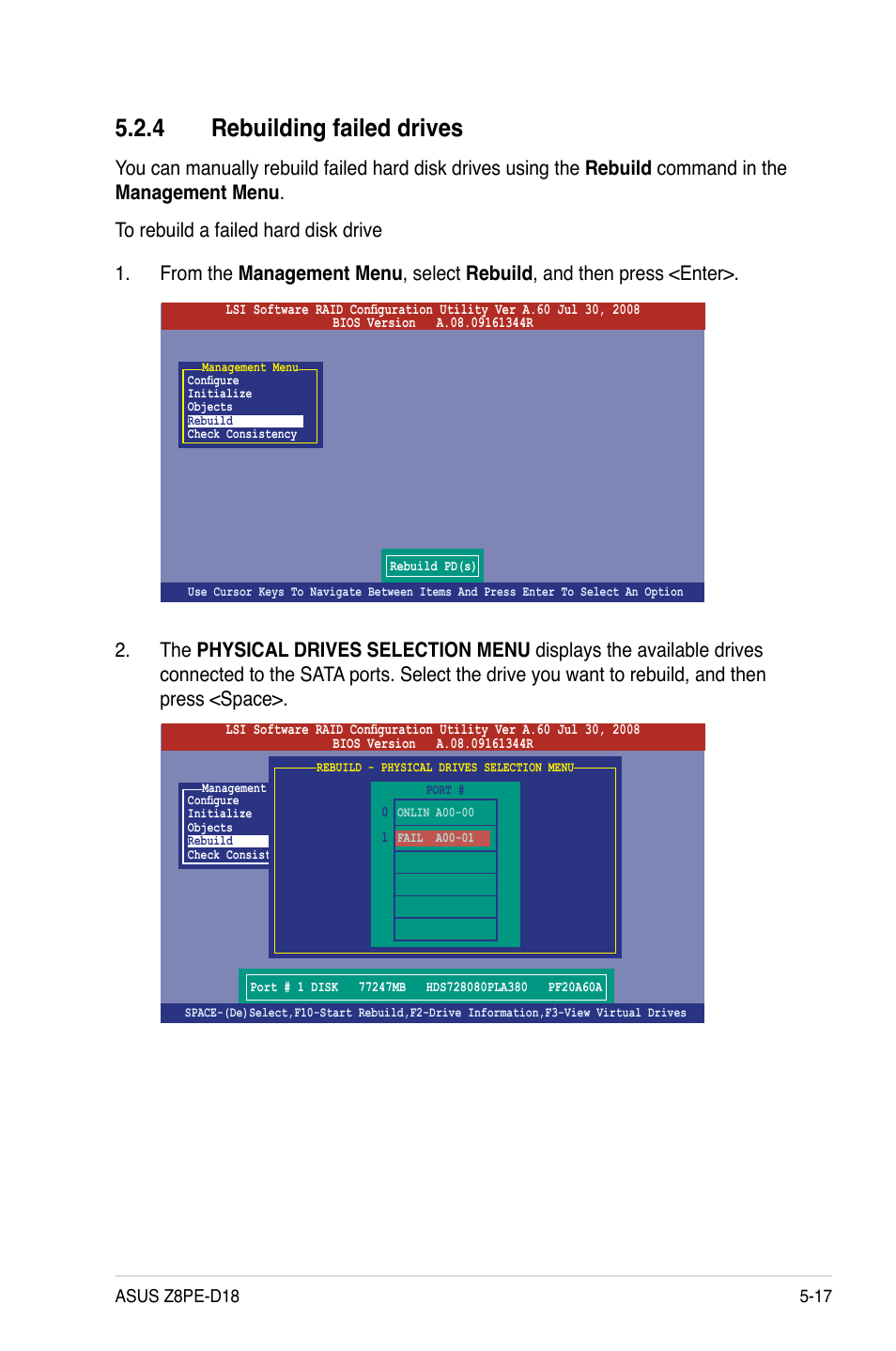 4 rebuilding failed drives, Rebuilding failed drives -17 | Asus Z8PE-D18 User Manual | Page 117 / 164