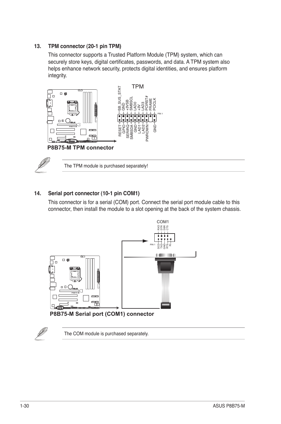 P8b75-m tpm connector, P8b75-m serial port (com1) connector, The tpm module is purchased separately | The com module is purchased separately | Asus P8B75-M User Manual | Page 40 / 76