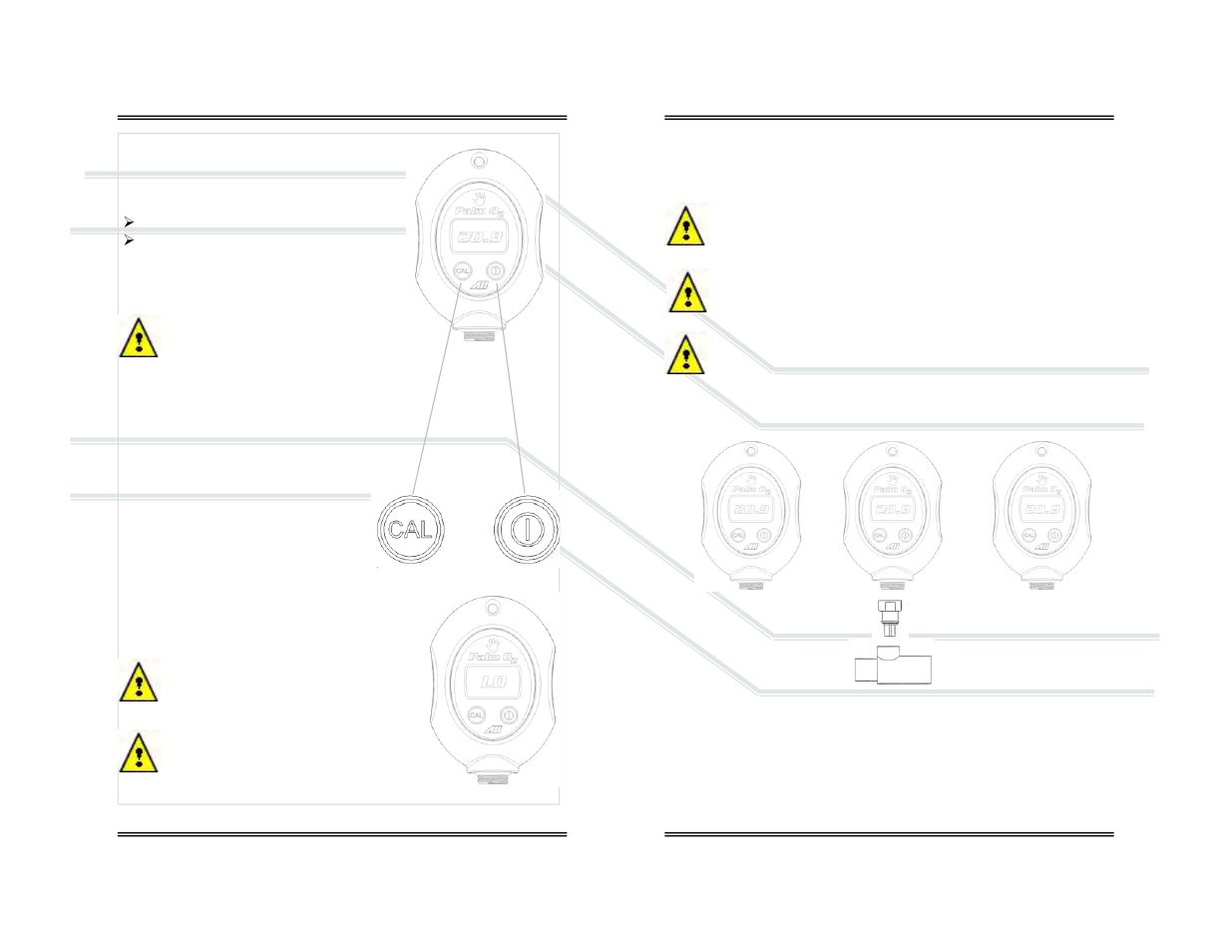 4 start-up | Analytical Industries Palm O2 D Oxygen Analyzer User Manual | Page 5 / 13